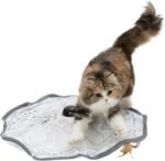 SPORT PET Interactive Automatic Cat Wand Toy - Image 9