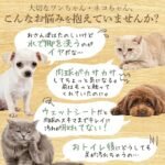 inopet No Water Paw Foam Shampoo for Dogs & Cats - Image 10
