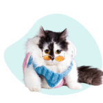 Japanese Knit Cozy Cat Sweater