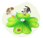 FEELNEEDY Electric Cat Toy with Feather & LED Light